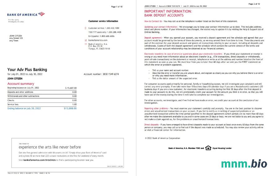 USA Bank of America EXCEL version 5